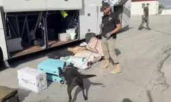 Erzincan merkezli 3 ilde uyuşturucu operasyonu: 20 kilo uyuşturucu ele geçirildi