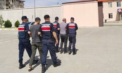 Gaziantep'te göçmen kaçakçılığı; 4 tutuklama