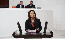 Gülcan Kış: Türkiye ekonomisi çöküş sürecine sürüklendi
