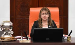 AYM kararını okutmuştu: Gülizar Biçer Karaca'nın yerine yeni isim!