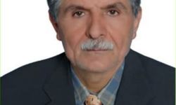 Hayvanlarını aramak için gittiği ormanda ölü bulundu