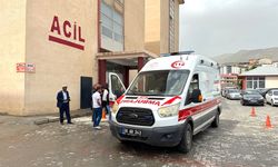 Hakkari'de öğrenci servisinin devrilmesi sonucu 8 kişi yaralandı