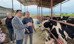 Besiciler kurbanlıkları satabilmek için taksitli satış kampanyası başlattı
