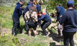 Sıcak hava balonu kayalıklara sıkıştı; turistler için kurtarma çalışması başlatıldı
