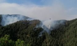 Kahramanmaraş'ta orman yangını: Havadan ve karadan müdahale ediliyor