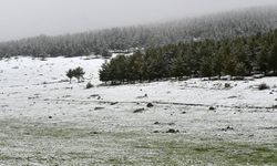 Erzurum'a mayısın ortasında lapa lapa kar yağdı