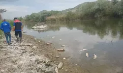Kızılırmak’ta balık ölümleri