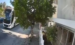 Sokakta yatan köpeği ezip yoluna devam etti