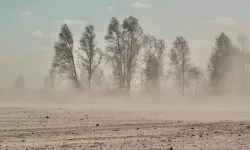 Arap ülkeleri kum fırtınasının etkisi altına girdi