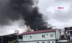 Fındık fabrikasındaki yangın, 2,5 saatte kontrol altına alındı