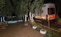 Mustafa'nın bağ evinde baltayla öldürülmesinde 2 gözaltı