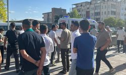 Mardin'de taşlı, sopalı ve yumruklu kavga: 3 yaralı