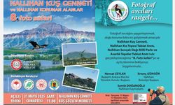 Nallıhan Kuş Cenneti’nde 8. Fotosafari hazırlığı yapılıyor