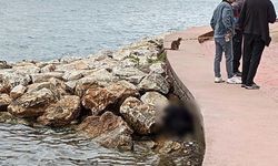Sahildeki kayalıklarda erkek cesedi bulundu