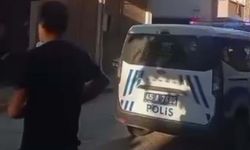 Sokak kedisini pompalı tüfekle vurarak öldüren şüpheliye gözaltı