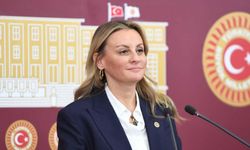 Kulis: DEVA Partisi’nden istifa eden Seda Kaya Ösen CHP'ye katılacak