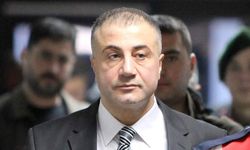 İddia: Sedat Peker birkaç kez Bahçeli ile görüşme yaptı