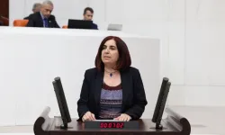 Çelenk, hastanelerde yaşanan randevu krizini Meclis gündemine taşıdı