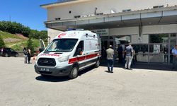 Düzgün Baba ziyaretinde kanlı hesaplaşma: Amca ve yeğen öldürüldü