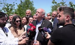 TZOB: Yüksek rakımlarda don zararı yüzde 100'e ulaştı