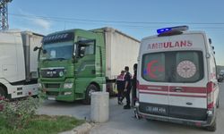 TIR sürücüsü aracında ölü bulundu