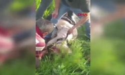 Trafik levhasına çarpan motosikletteki üniversite öğrencisinin bacağı koptu