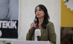Tülay Hatimoğulları'ndan 'kayyum' ve '10. Yargı Paketi' açıklaması