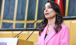 Hatimoğulları'ndan Kurtulmuş'a 'Barış ve Demokratik Toplum Komisyonu' çağrısı