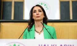 Hatimoğulları: Barışı demokratik bir zeminde inşa etmeli ve kalıcı hale getirmeliyiz