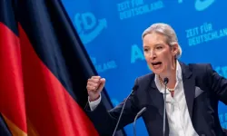 AfD lideri Weidel’den seçim çağrısı