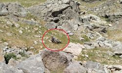 Batman’da bilirkişi heyetinin aracı şarampole yuvarlandı; 4 ölü,1 ağır yaralı