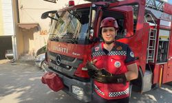 Ağaçta iki gün mahsur kalan kedi yavrusu kurtarıldı
