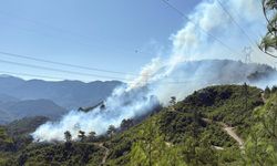 Antalya'nın 3 ilçesinde çıkan 5 yangın kontrol altında