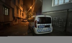 Anne ve 3 yaşındaki kızı evde ölü bulundu