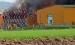 Ankara'da yumurta üretim tesisinde yangın: Binlerce tavuk öldü