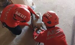 Apartman boşluğunda mahsur kalan martı kurtarıldı