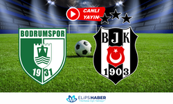 Justin TV | Bodrum FK - Beşiktaş maçı canlı izle