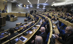 Bosna Hersek'te Meclis oturumu 'yılan' nedeniyle ertelendi