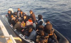Çanakkale'de 37 kaçak göçmen ile 2 göçmen organizatör yakalandı