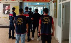 Çanakkale'deki orman yangınlarıyla ilgili 6 şüpheliye gözaltı