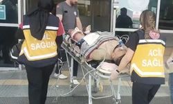 Çorum'da kurban keserken 30 kişi kendini yaradı