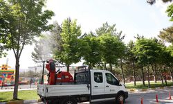 Çankaya’da parklar, oyun alanları ve yeşil bölgeler düzenli şekilde ilaçlanıyor