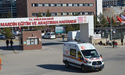 Danıştay hakimi, silahla başından vurulmuş halde bulundu