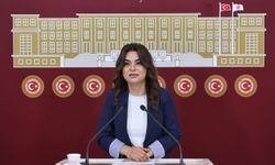 DEM Partili Koçyiğit: Bütün partiler İmralı'ya gitmeli