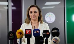 Ayşegül Doğan: Önceliğimiz, barış ve demokratik toplum sürecine ivme kazandırmak