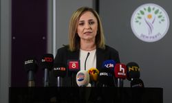 Ayşegül Doğan: 11 Temmuz'da Süleymaniye'de tarihi ana tanık olacağız