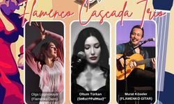 Flamenko tutkunları Ankara’da buluşuyor