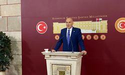 İYİ Parti'den DEM Partili Aslan'a oturum cezası başvurusu