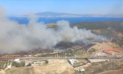 İzmir Aliağa'da yeni orman yangını