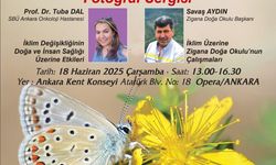 Ankara’da iklim krizi ve biyoçeşitlilik konuşulacak: Panel ve fotoğraf sergisi yarın